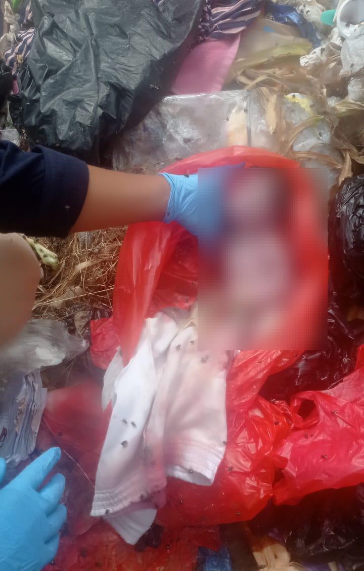 i-perempuan-dibuang-di-TPA-Waibron-Kampun.jpg