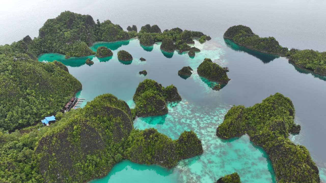 Melihat Eksotisme Destinasi Wisata Raja Ampat, Keindahan Alam Bawah ...