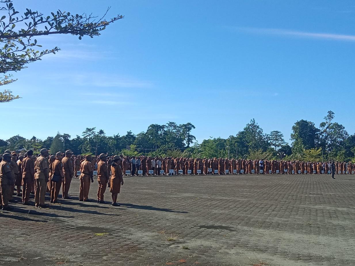 Tribun