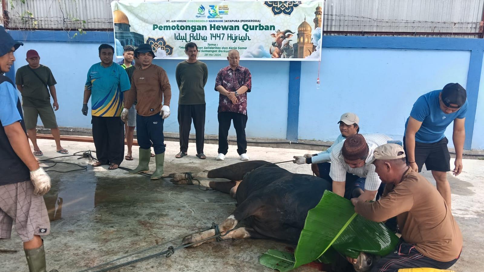 Tujuh Sapi Kurban PT Air Minum Jayapura Dibagikan Tanpa Sekat Agama
