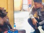 28102023-pelaku_pengrusakan_patung_bunda_maria_di_timika.jpg