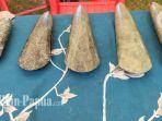 29102022-tomako_batu_maskawin_perempuan_adat_sentani.jpg