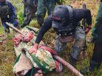 Dikenal Sadis, Ini Deretan Aksi Kriminal Pimpinan OPM Bumi Walo Enumbi di Puncak Jaya Papua Tengah
