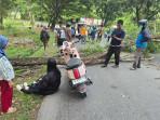 AKAAN-MAUT-Nampak-pohon-tumbang-yang-menewasks.jpg