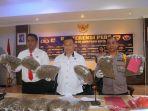 Ganja-di-Jayapura.jpg