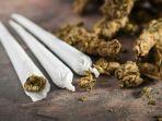 ILUSTRASI-GANJA-dijadikan-rokok.jpg