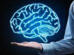 ilustrasi-otak-manusia.jpg