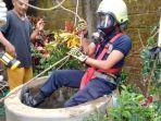 petugas-damkar-dan-kebencanaan-pemkot-salatiga-mengevakuasi-kucing.jpg