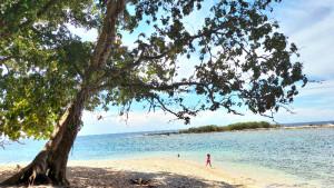 pantai-bori-manokwari-wisata-papua-barat.jpg