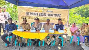 polsek-ff-tanam-jagung.jpg