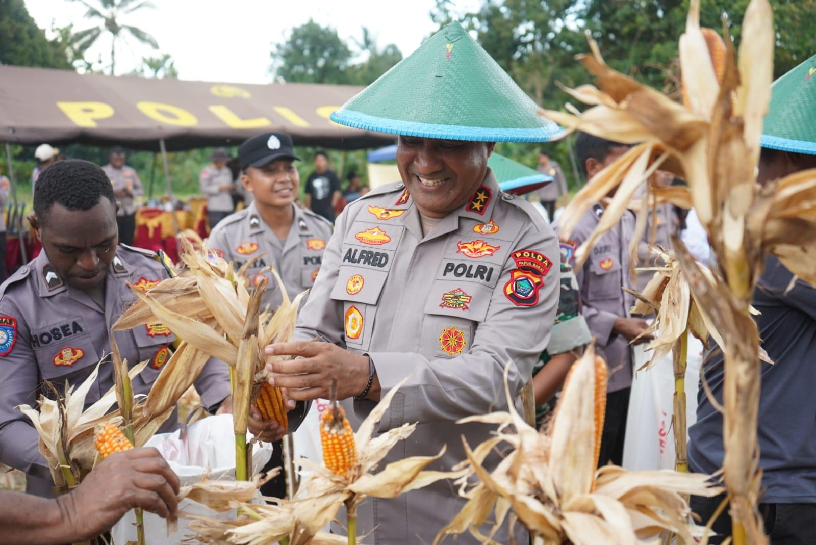 Kapolda-papare.jpg