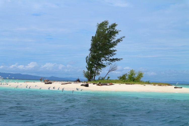 Keindahan-pasir-timbul-Urun-Kampung-Yansawai-Pulau-Batanta.jpg