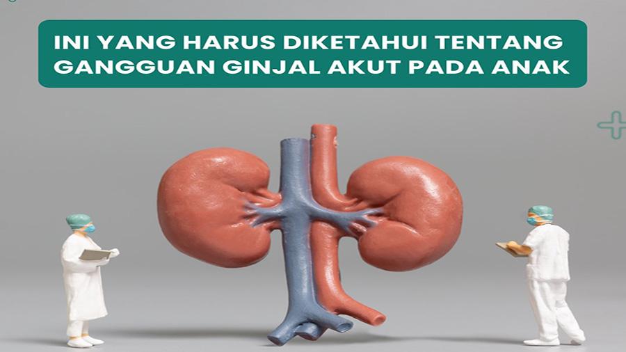 Kelainan-ginjal-akut-pada-anak-yang-satu-di-antaranya-akibat-infeksi-karena-obat-sirup.jpg