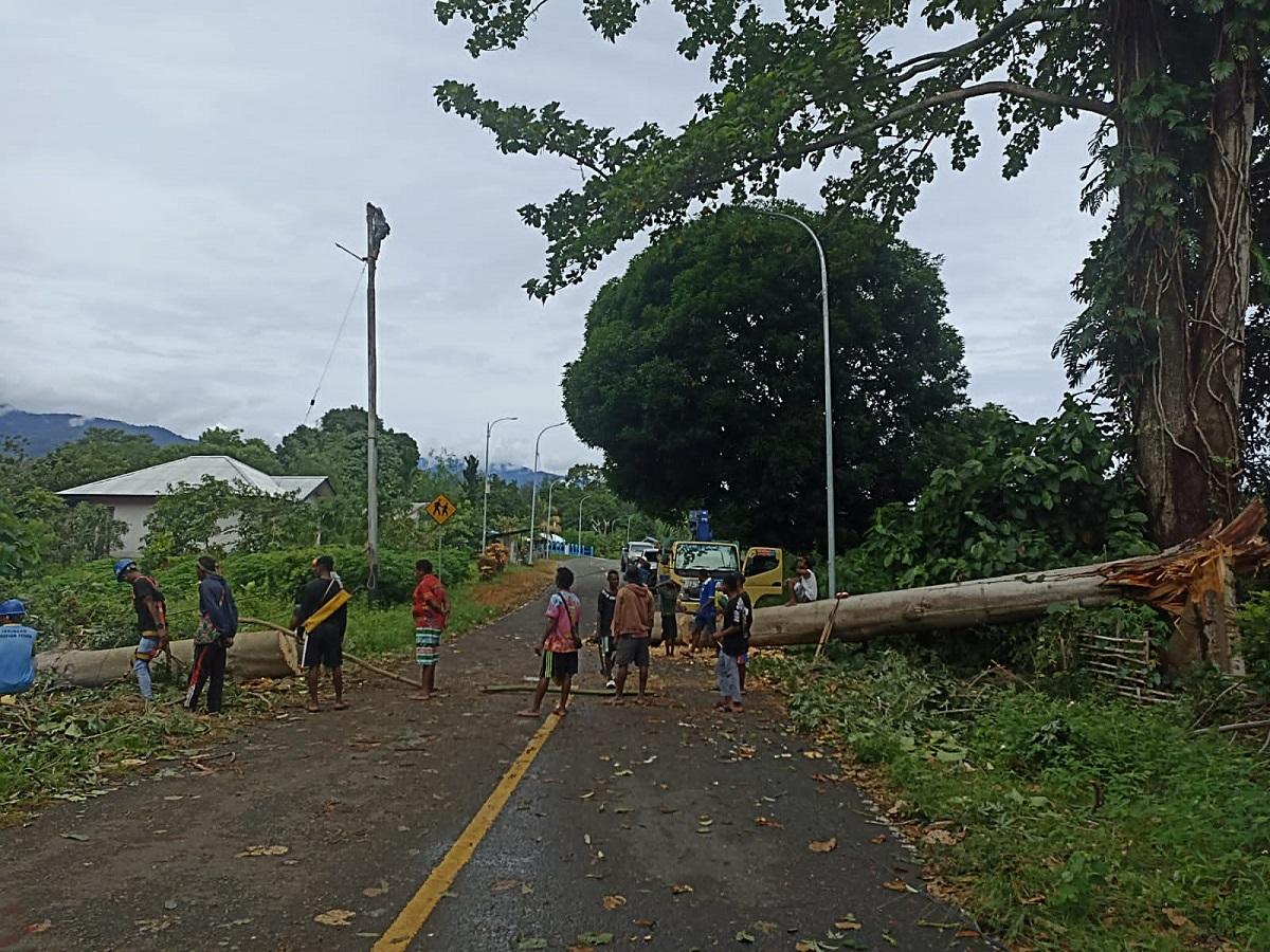 Pohon Tumbang di Sejumlah Titik, Listrik Wilayah Mansel Padam Total