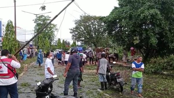 Sejumlah-pohon-tumbang-di-jalanan-Kota-Sorong-akibat-hujan-dan-angin-kencang.jpg