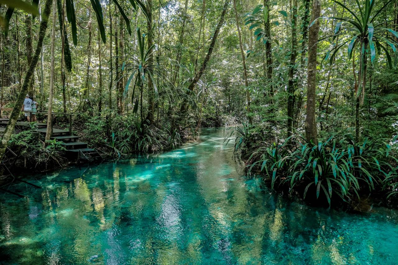 Sungai-Kali-Biru-di-pedalaman-hutan-di-Kampung-Warsambin.jpg