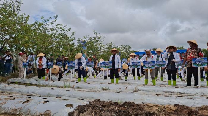 Dari Papua Tengah Untuk Indonesia, Program Peduli Ketahanan Pangan Resmi Dicanangkan di Mimika - Tribunpapuatengah.com