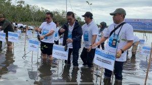 Presdir-PTFI-Tanam-Mangrove.jpg
