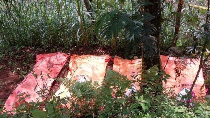 Dukun Pengganda Uang Hilangkan Nyawa Korban, 10 Mayat Ditemukan