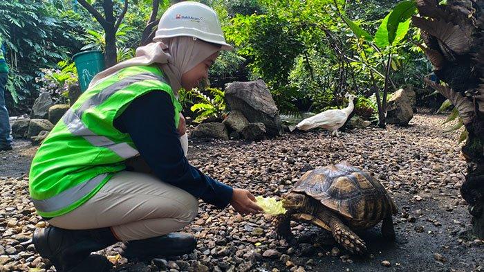 AVIARY: Rafika Puspita Sari berada di aviary yang berada di tengah Pelabuhan batu bara Tarahan PTBA.  Di dalamnya terdapat 17 jenis tanaman dan 26 spesies burung, termasuk satwa dilindungi seperti Jalak Bali dan Kakatua Jambul Kuning.