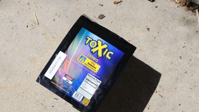 Arti Toxic dalam Bahasa Gaul Merujuk Pada Hubungan Tertentu, Simak Arti Kata Toxic