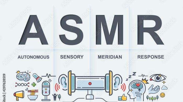 VIRAL TIKTOK, Arti Kata ASMR yang Sering FYP: Apa Maksud Konten ASMR?