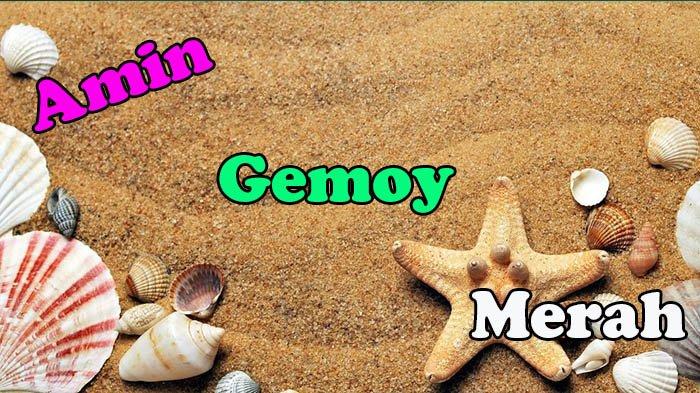 Arti Kata Amin , Gemoy dan Merah dalam KBBI serta Bahasa Gaul