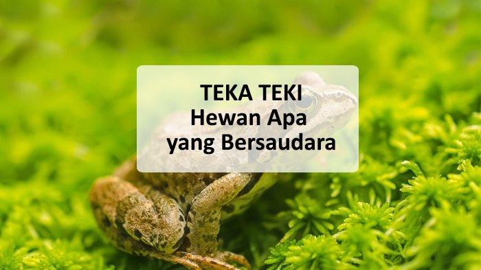 Hewan Apa yang Bersaudara di Tebak tebakan atau Teka Teki Jokes Bapak-bapak? Ini jawabannya