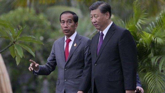 Jokowi Klaim Banyak Negara Bergantung ke Indonesia Gara-gara Punya ini