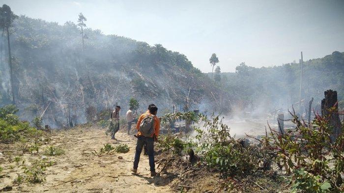Tim Karhutla Bengkalis Berjibaku Padamkan Karhutla di Tasik Serai yang Muncul Sabtu Kemarin
