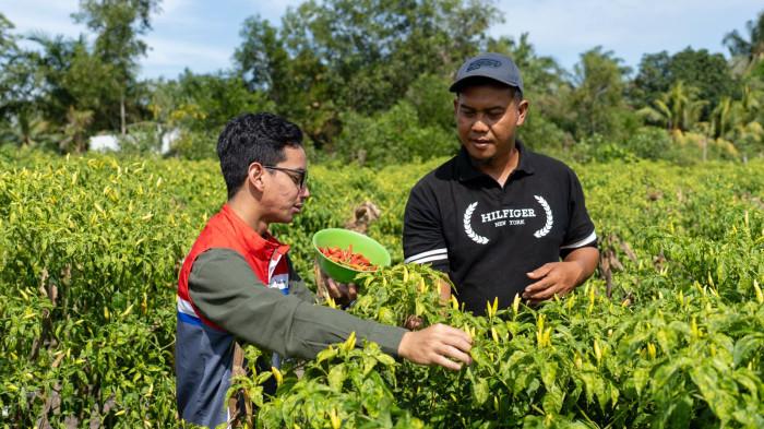 Lingkar Kehidupan di Sudut Kota Dumai: Ketika Sampah,Ternak, dan Tanaman Hidup Saling Menghidupi