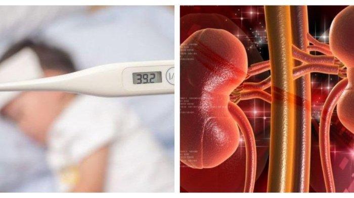 Ini 5 Sayuran yang Baik Untuk Penderita Penyakit Ginjal