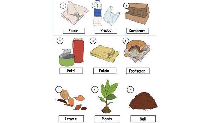 Look at the pictures below and identify the words for the pictures.