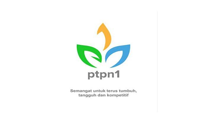 Lowongan Kerja BUMN, PTPN I Sedang Mencari Humas dan Tenaga Kesekretariatan