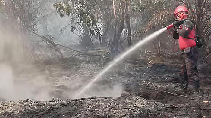 ISPU Kembali Naik, DLH Kampar Singgung Sumber Asap Karhutla