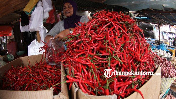 Harga Cabai Merah dan Ayam di Dumai Naik Jelang Pemilu 2024, Jadi Segini Per Kilogram