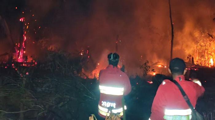 Api Muncul di Pendalian dan Sungai Kuning Rohul, Kecamatan Rambah Sudah Padam