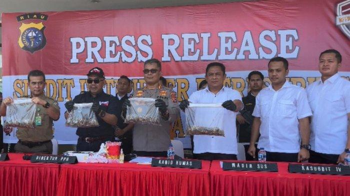 BREAKING NEWS: Polda Riau Gagalkan Transaksi Jual Beli 41 Kg Sisik Trenggiling, Pelaku Ditangkap