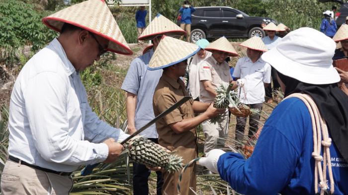 Kolaborasi Multipihak Dorong Agroforestri Riau Jadi Model Ekonomi Hijau