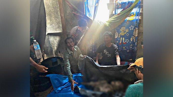 Ditemukan Setelah 4 Hari Pencarian, Jasad Pemuda di Inhil Tidak Utuh Setelah Dimangsa Buaya