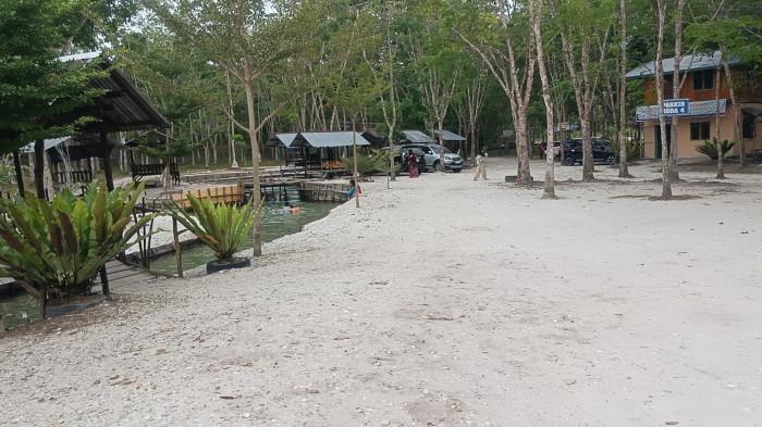SUNGAI HIJAU - Suasana Sungai Hijau di Kabupaten Kampar, Riau, Sabtu (6/9/2025). Sungai Hijau di Kampar Riau menyajikan sungai yang jernih, adem jauh dari hiruk pikuk perkotaan.