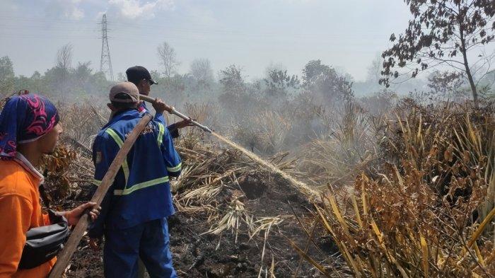Karhutla di Dumai Kembali Meluas, Tim Satgas Karhutla Terus Berjibaku Memadamkan dan Mendinginkan