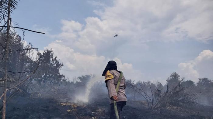 Riau Nihil Hotspot, Wilayah Sumatera Terdapat 23 Titik, Sumsel Terbanyak