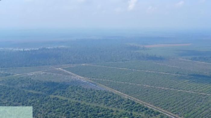 BPBD Pelalawan Kehabisan Dana Patroli, Pantuan Titik Api Andalkan Patroli Udara dan Laporan Warga