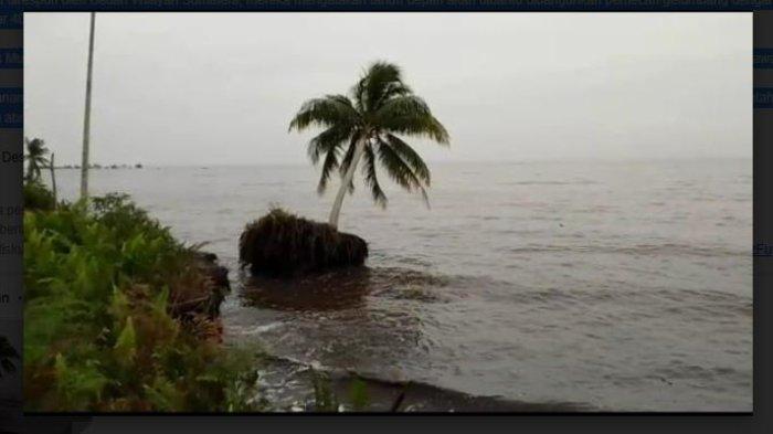3 Hektare Kebun Masyarakat di Bengkalis Amblas Masuk Laut, Abrasi Akibat  Terjangan Ombak