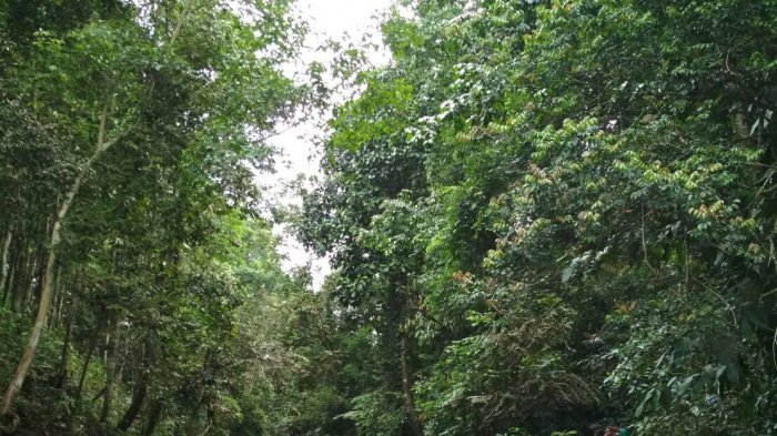 Adventure Riau Pesan ke Masyarakat Agar Tak Buang Sampah di Puncak Ulu Kasok