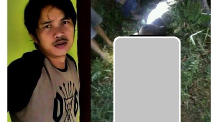 Ular yang Telan Akbar Tercatat dalam Rekor Dunia, Ular Terpanjang yang Memangsa Manusia