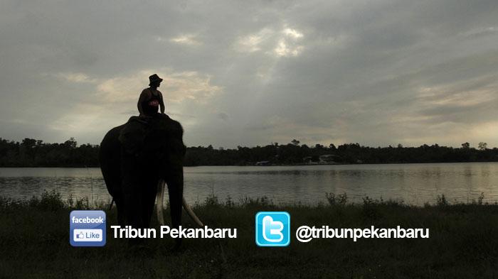 Maksimalkan Potensi Danau Buatan, Pemko Pekanbaru Wacanakan Pengelolaan oleh PD Pembangunan