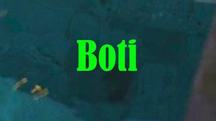 Apa Itu Boti dalam Bahasa Gaul dan Apa Arti Kata Boti yang Trend di Medsos?