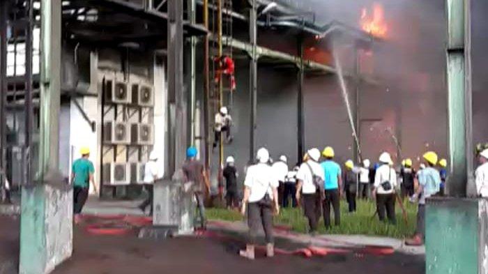Api Masih Berkobar, Gudang Ampas Sawit PT SDS di Dumai Terbakar-Berita Riau Hari Ini